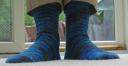 Front view of blue parrot socks
