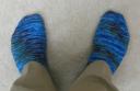Top view of blue parrot socks