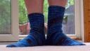 Uneven blue parrot socks